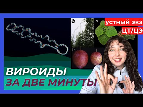Видео: УСТНЫЙ ЭКЗАМЕН - ВИРОИДЫ ЗА 2 МИНУТЫ