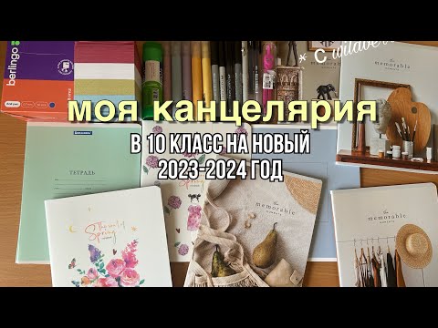 Видео: Back to school с wildberries и не только.