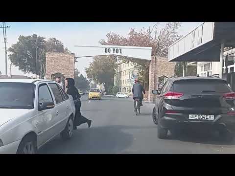 Видео: 3 ноября 2025 г.