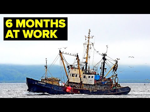 Видео: Жизнь на коммерческом рыболовном судне в Тихом океане