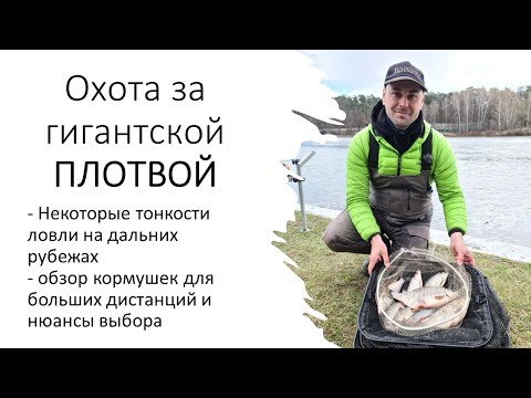 Видео: Ловля КРУПНОЙ плотвы весной