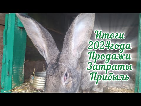 Видео: Итоги содержания кроликов фландр 2024года | Затраты | Продажи | Прибыль