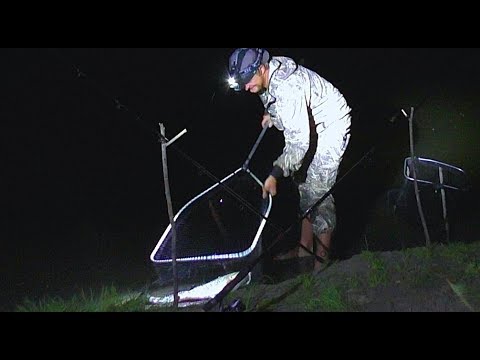 Видео: Ночная рыбалка на сома. Эксперимент: наживка с чесноком! Выход подёнки. Закидушки.