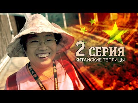 Видео: #156 Китайские теплицы. Аграрный Китай серия 2. GreenSYS2017
