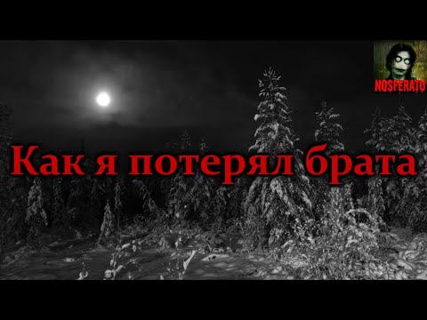 Видео: КАК Я ПОТЕРЯЛ БРАТА. Страшные истории на ночь. Страшилки на ночь