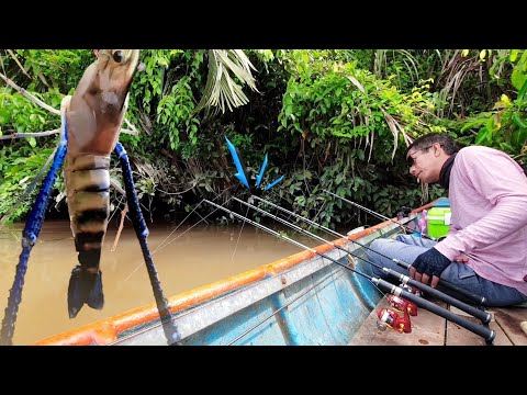 Видео: Рыбалка на реке во время отливов и приливов. Ловля креветок