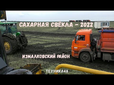 Видео: Выкопать свёклу - только полдела! Вывоз свёклы с поля. Камазы, Джон Диры и другие. Осень 2022 года
