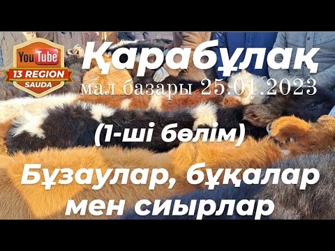 Видео: Мал бағасының не үшін көтеріліп жатқанын білесіз бе?