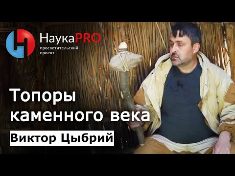 Видео: Древние технологии: топоры каменного века – археолог Виктор Цыбрий | Научпоп