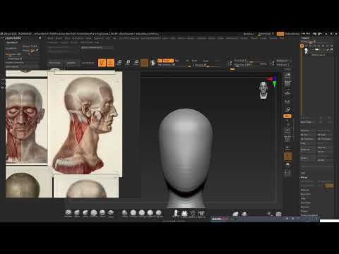 Видео: ZBRUSH - Розмітка мешу. Початок скульптінгу