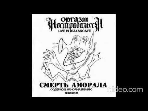 Видео: Оргазм Нострадамуса Жалкая собачонка