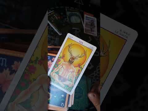 Видео: Следващият месец-по зодии ♈️♉️♊️♋️♌️♍️