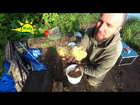 Видео: Донки Крокодил. Грибное Меню. 2 в 1 Рыбалка.