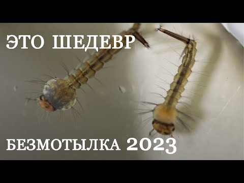 Видео: Самодельная безмотылка. Личинка комара.Вы такого точно не видели