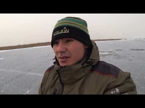 Видео: Жерлицы стреляют постоянно щуки начинают активность