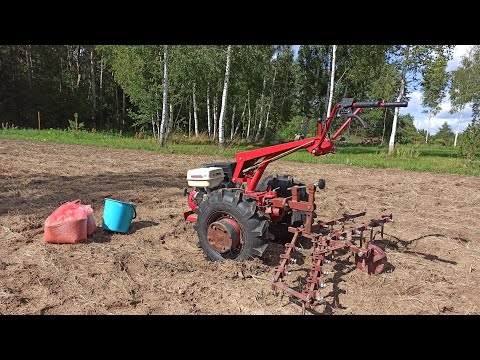 Видео: Правильный способ посадки сидератов. Культиватор борона  КБ-00.000. МТЗ с Weima WM188F 13л/с.