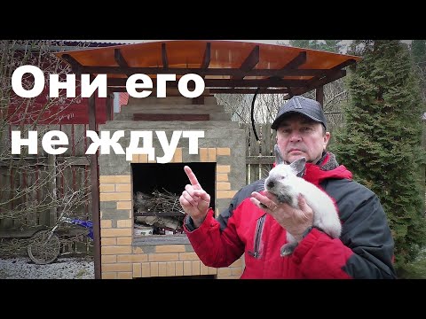 Видео: СЕМЕРО КРОЛИКОВ ОДНОГО КРОЛЬЧОНКА НЕ ЖДУТ Кролики содержание и разведение