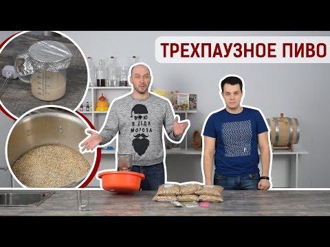 Видео: Домашнее пиво: многопаузное затирание солода