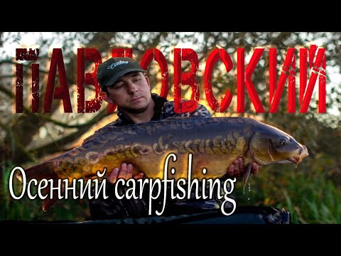 Видео: ОСЕННИЙ КАРПФИШИНГ 2023  ВОДОЁМ РКС ПАВЛОВСКИЙ