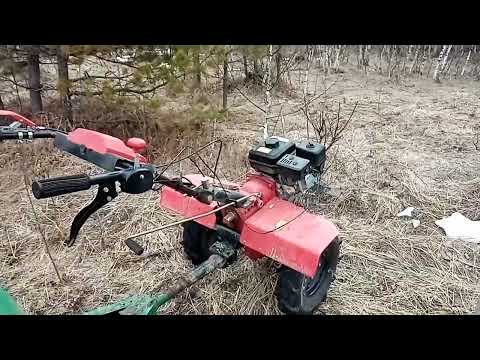 Видео: Поиск рогов... Супер находка