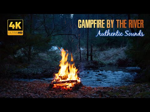 Видео: 4K Костер у реки 🔥 Аутентичные звуки природы 🌲 Медитация