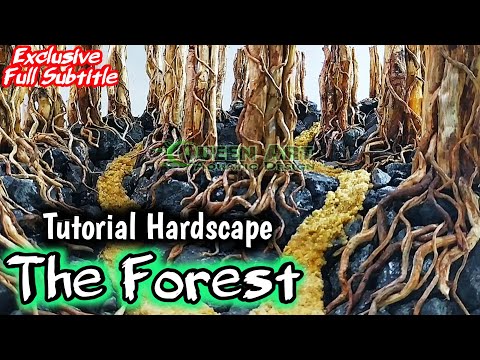 Видео: Шаг за шагом создание хардскейпа Лес - Акваскейпинг