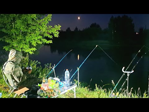 Видео: Рыбалка на сома с подводной камерой! Лучший монтаж на сома. Ночная ловля сома на донки в июле.