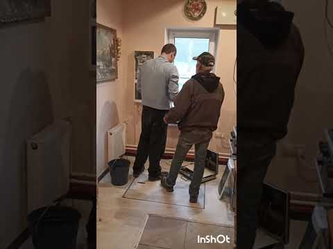 Видео: 26.10.25 День стольника для мини мини приюта! Спасибо ! 