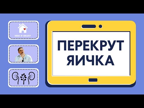 Видео: Перекрут (заворот) яичка у детей и взрослых | Классификация | Симптомы | Диагностика | Лечение
