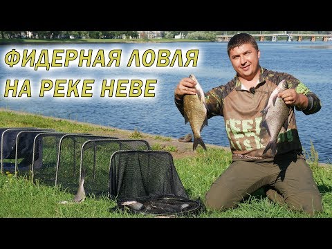 Видео: Фидерная ловля леща на реке.  Ночная рыбалка на Неве