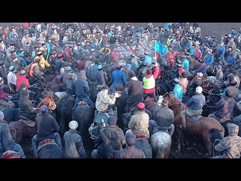 Видео: Қазығұрт ауданы Алтынтөбе. Әбілқасым ағамыздың Дәу көкпары 2 -бөлім #спорт #көкпарәлемі