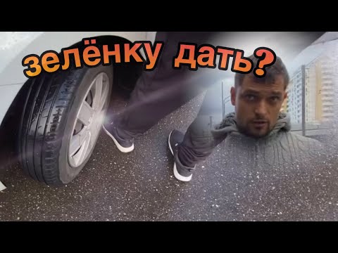 Видео: По ногам как по бульвару! ⛔️🐝