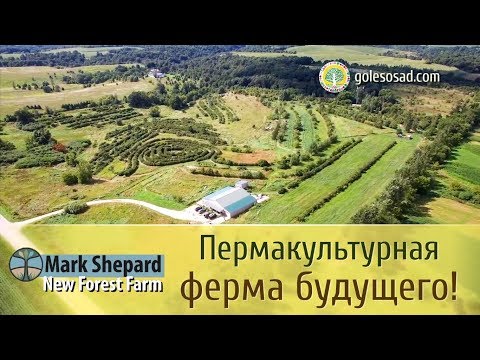 Видео: Пермакультурная ферма будущего!