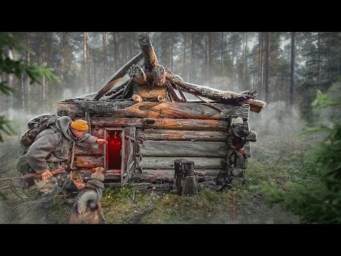 Видео: ОТКРЫЛ ДВЕРЬ В ИЗБУ И ОБАЛДЕЛ. НАХОДКА В ЛЕСУ. НАШЁЛ ДРЕВНИЙ ДОМ В ГЛУШИ. СПРЯТАННАЯ ИЗБУШКА В ТАЙГЕ