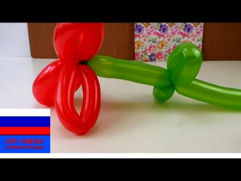 Видео: Цветок из двух воздушных шариков видеоурок