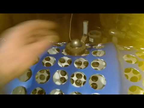 Видео: калибровка Секция 1