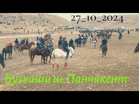 Видео: бузкаши ш.Панчакент 27_10_2024