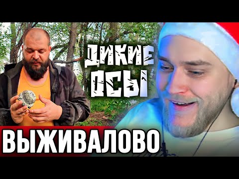 Видео: EASTERCAKE СМОТРИТ ВЫЖИВАЛОВО | ЕДА ДЛЯ ВЫЖИВАНИЯ В ПРИРОДНЫХ УСЛОВИЯХ - ДИКИЕ ОСЫ