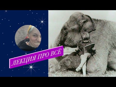 Видео: МЕГАЛЕКЦИЯ ПРО ВСЁ