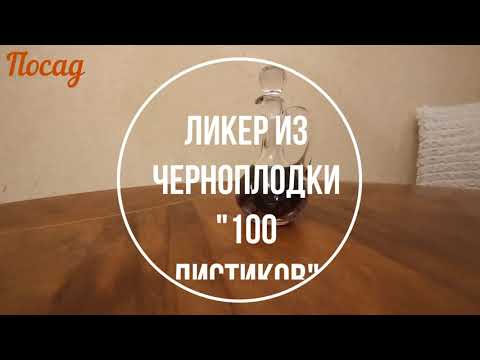 Видео: Ликёр из черноплодки «100 листиков». Проверенный старинный рецепт