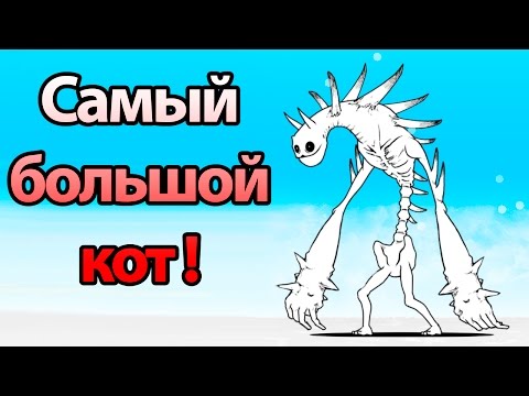 Видео: Самый большой кот ! ( Battle Cats )