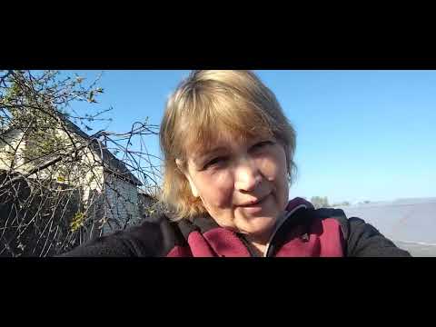 Видео: Проблеми з кліщем на полуниці, які причини