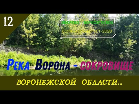 Видео: Река ВОРОНА -сокровище Воронежской обл./#12 -Август -2021