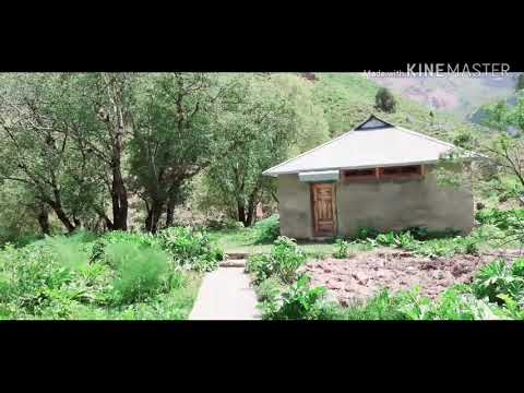 Видео: Ҳазрати Фолума 3.06.2020