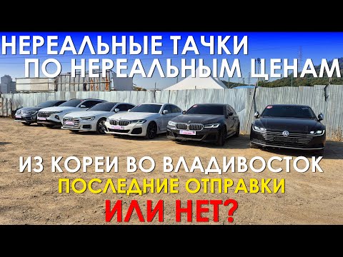 Видео: Цены на немецкие авто из Кореи под ключ во Владивостоке в НОЯБРЕ 2025. Утильсбор не страшен!