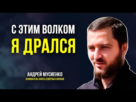 Видео: Ямалец строит под Петербургом «Парк северных волков»