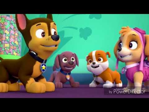 Видео: Щенячий патруль. Гонщик и Скай!!!