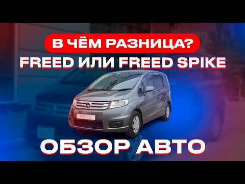 Видео: FREED или FREED SPIKE? В чем разница? Обзор авто.