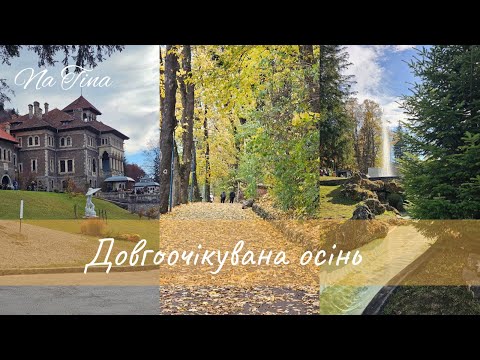 Видео: Vlog #36 Румунія в жовтні, відпочинок, приємні спогади та відчуття