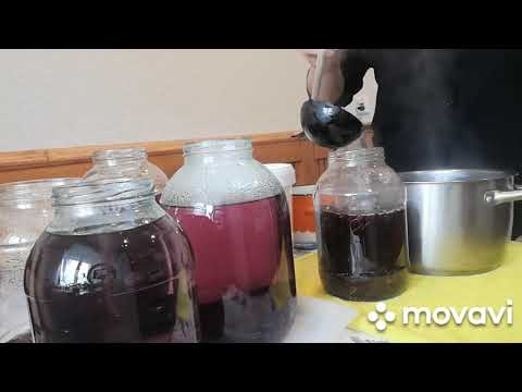 Видео: Рецепт компота из черемухи.